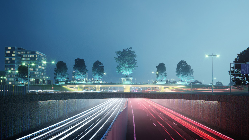 tree bridge night